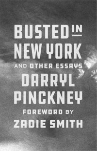 Busted in New York and Other Essays by Darryl Pinckney